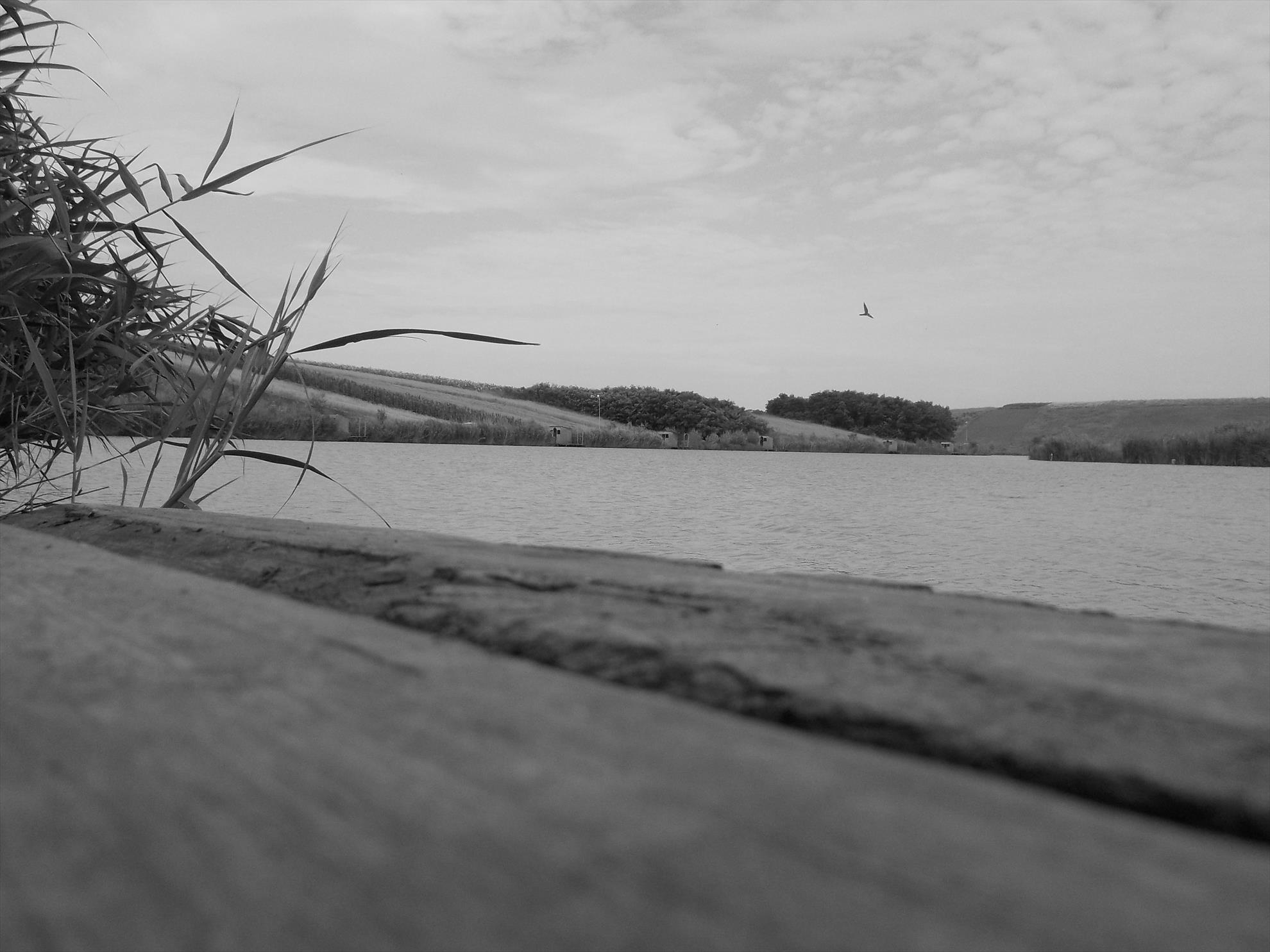 Love for fishing !!! - dscn2502.JPG